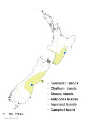 Nuphar lutea distribution map based on databased records at AK, CHR & WELT.
 Image: K.Boardman © Landcare Research 2018 CC BY 4.0